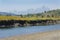 Buffalo Fork River with Teton Mountains, Jackson Hole, Wyoming.