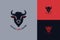 Buffalo head with horns in black and red minimalist logo design for Cattle Caring organization