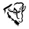 Buffalo head Logo