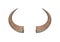 Buffalo horns on white background texture