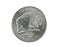 Buffalo Nickel Coin