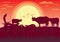 Buffalo sunset evening and grassland meadow landscape Ill