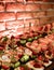 The buffet at the reception. Assortment of well decorated gourmet food . Banquet service. catering and holidays concept