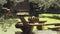 On buffet table in form of tree trunk, pie lies on wooden trays.