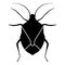 Bug Bedbug Chinch True bugs Hemipterans Insect pest icon black color vector illustration flat style image