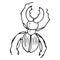 Bug icon. Vector illustration of a cartoon stag beetle. Hand drawn