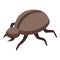 Bug insect icon isometric vector. Stage pupation silk