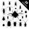Bug species and exotic beetles icons vector collection. Various insects set with as Goliath beetle, Frog-legged, Ladybug
