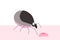 Bug, tick. blood-sucking parasite. Insect pest. Tick character, vector illustration