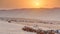 Buggies in sand desert at the sunset timelapse