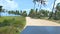 Buggy ride passing by coconut trees on a sandy terrain