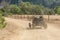 Buggy tour Vang Vieng