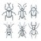 Bugs and beetles set. Vector sketch hand drawn illustration. Insects collection isolated on white background