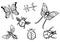 Bugs and butterflies doodle vector set