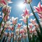 Bugs-eye View, Flowers from below 1