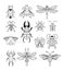 Bugs, insects, Butterfly, ladybug, beetle, swallowtail, dragonfly collection. Modern set of icons, symbols and