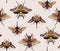 Bugs, moth, butterfly insect animal seamless pattern. Fly  wildlife background. Biology  species, fabric cloth design, old school