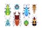 Bugs set. Stag beetle, wasp, fancy animals. Bright colorful fauna species, top view, multicolored wings, different