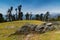 Bugyals, flat lands at upper Himalayas, Uttarakhand, India