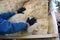 Builder hands insulating wooden house with mineral wool