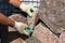 Builder - mason hands placing stones on a wall using a spatula with cement, outdoors