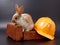 builder\\\'s day, symbol of the year easter rabbit on a building brick tile on a black background