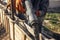 Builders pouring concrete with pump truck in wooden formwork with reinforcement. Workers pouring concrete in formwork for