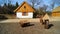 Building, barn, open-air museum in the village - reconstruction of IXX century