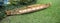 Building boats - a partially built wooden kayak sits on grass near a swimming pool and shubbery with pink flowers dropped from nea