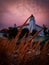 Building of Bratislava castle behind growing wheat during sunset