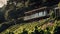 Building A Brutalist Home In A Vineyard: Dynamic Outdoor Shots In 32k Uhd