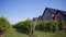 Building exterior of a winery with rows of wine graves in the field