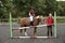 Building a fence at a riding school