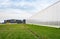 Building and greenhouses of a pepper nursery