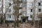 building overgrown with trees in Pripyat, the Chernobyl zone