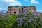 Building with Purple jacaranda tree blooming in Sping sunny day