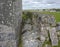 Building remains in Connemara