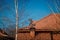 building roof with red tile on blue spring sky background with burch on foreground and weather vane shaped as a person