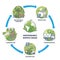 Building sustainable and green supply chain key components outline diagram