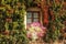 Building wall and window beautifully overgrown with creepers, autumn colors and flowers