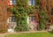 Building wall and window beautifully overgrown with creepers, autumn colors and flowers