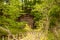 A building in the woods surrounded by trees and bush