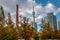 Buildings in Downtown Toronto with CN Tower and Autumn vegetation - Toronto, Ontario, Canada