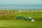 The buildings on the Hulunbuir grassland