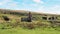 Buildings and kilns, East Rosedale Mines, Ironstone Railway, North York Moors