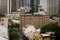 Buildings in The Rocks, Sydney, Australia