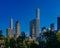 Buildings and skyscrapers of midtown Manhattan above trees, viewed from Central Park of New York City, USA