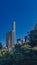 Buildings and skyscrapers of midtown Manhattan above trees, viewed from Central Park of New York City, USA