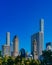 Buildings and skyscrapers of midtown Manhattan above trees, viewed from Central Park of New York City, USA