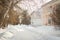 Buildings on the street in winter ,trees in the circle of houses